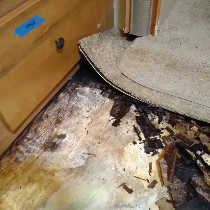 Wood Floor Water Damage in Earth, TX